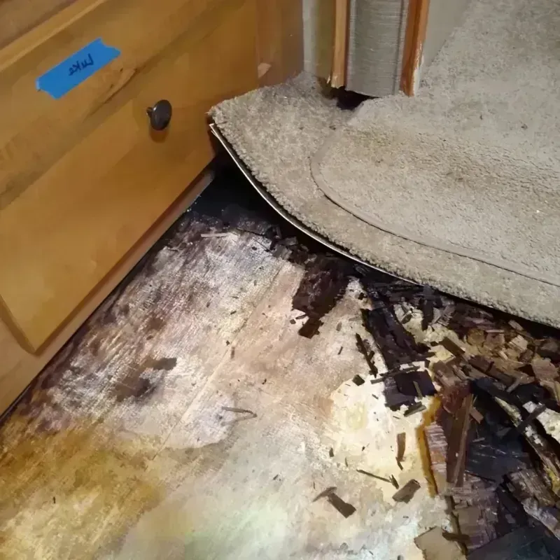 Best Wood Floor Water Damage Service in Van Buren County, MI